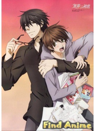 аниме Лучшая в мире первая любовь [ТВ-1] (Sekaiichi Hatsukoi TV) 21.11.11