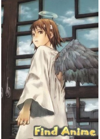 аниме Альянс Серокрылых (Grey Feather Alliance: Haibane Renmei) 21.11.11