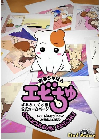 аниме Домоправительница Эбичу (Oruchuban Ebichu) 20.05.12