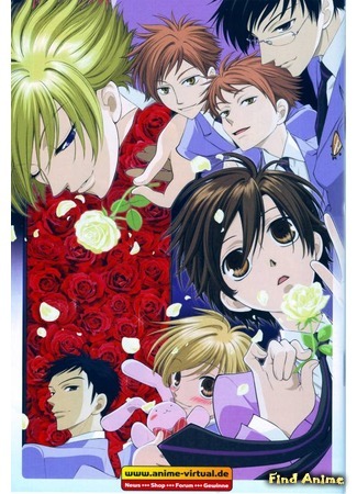 аниме Клуб свиданий старшей школы Оран (Ouran High School Host Club: Ouran Koukou Host Club) 28.05.13