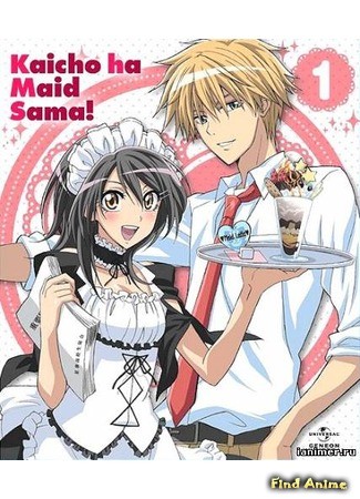 аниме Президент студсовета - горничная! (Kaichou wa Maid-sama!) 09.11.13