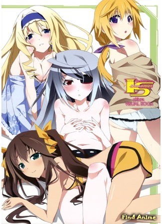 аниме Необъятные небеса OVA 2 (IS: Infinite Stratos 2 - Hitonatsu no Omoide: Infinite Stratos 2 - Hitonatsu no Omoide) 20.01.14