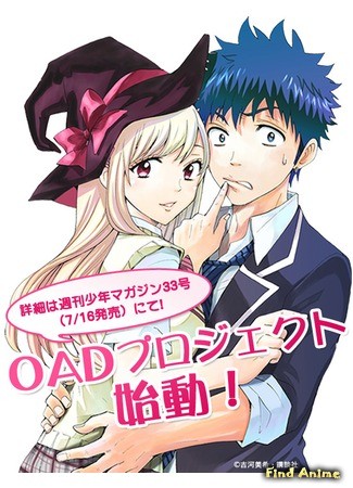 аниме Ямада-кун и семь ведьм OVA (Yamada-kun to 7-nin no Majo (OVA): Yamada-kun and the Seven Witches OVA) 13.06.14