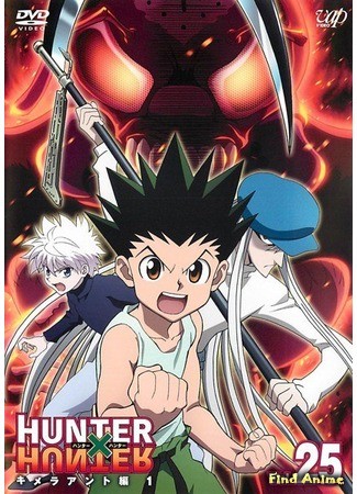 аниме Охотник х Охотник (2011) (Hunter x Hunter (2011)) 01.07.14