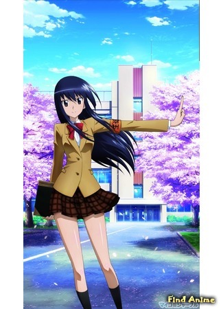 аниме Члены школьного совета (Seitokai Yakuindomo: 生徒会役員共) 29.12.14