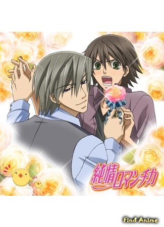 аниме Чистая романтика [ТВ-1] (Junjou Romantica) 12.06.15