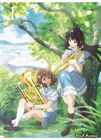 аниме Звучи! Эуфониум (Sound! Euphonium 2: Hibike! Euphonium 2) 11.11.16