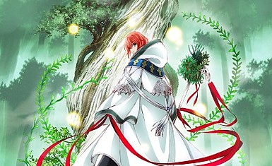 Mahou Tsukai no Yome получит ТВ-адаптацию