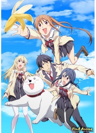 аниме Дурочка (Dummy Girl: Aho Girl) 09.05.17