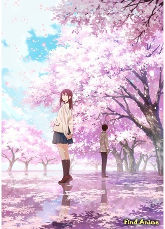 аниме Я хочу съесть твою поджелудочную (I want to eat your pancreas: Kimi no Suizou wo Tabetai) 14.01.18