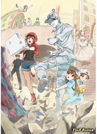 аниме Клетки за работой (Cells at Work!: Hataraku Saibou) 18.06.18