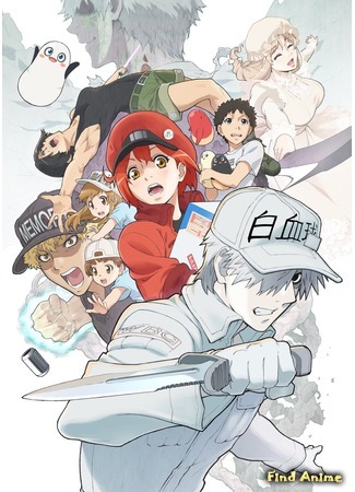 аниме Клетки за работой 2 (Cells at Work! 2: Hataraku Saibou 2) 03.07.20