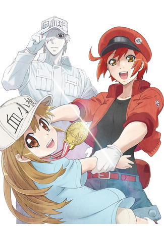 аниме Клетки за работой 2 (Cells at Work! 2: Hataraku Saibou 2) 04.06.21