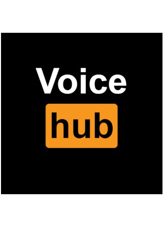 Переводчик VoiceHub 24.11.24